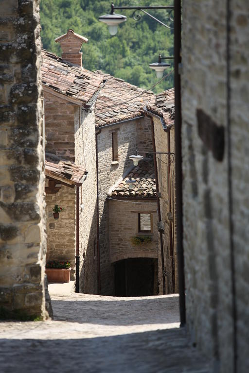 Agriturismo Biologico Castello Della Pieve Mercatello sul Metauro Exterior photo